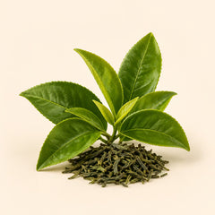 Té Verde