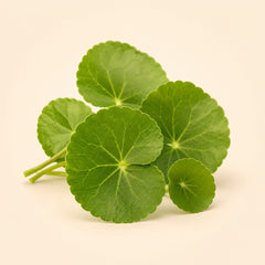 Centella Asiática