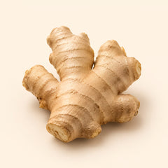 Jengibre