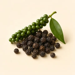 Piperina